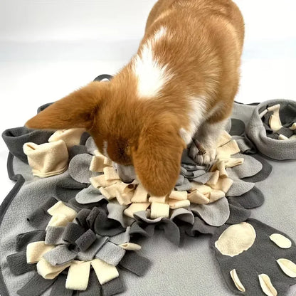 SenseMat™ – Tapis de fouille pour chien